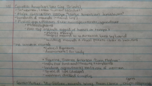 Cahokia Video Notes