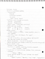 SHS 303 week 3