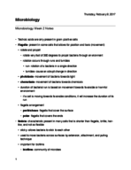 Microbiology Week 2 Notes