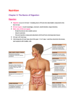 Nutrition Chapter 3: the Basics of Digestion