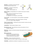 NUSCTX 10 Study Guide