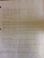 CCJS230 Ch1 Lecture Notes
