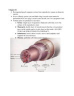 Animal Reproduction rutgers