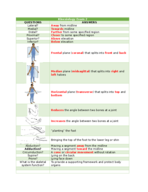 Possible material that will be on exam 2