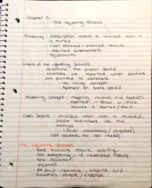 Week 3 Chapter Notes Accounting