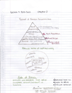 Intro to Business Week 4