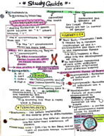 AnS331_StudyGuide_ExamOne