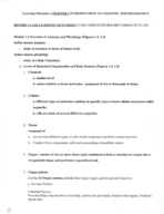 Anatomy & Physiology I Week 1 Notes 