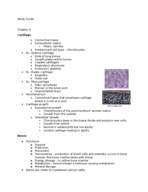 Chapter 6 Notes