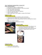 Vertebrate Zoology-My Notes #1