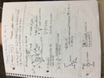 Material from review periods for Test 1