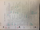 Exam 2 Study Guide