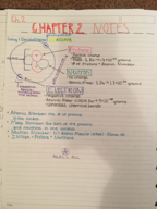 CH 2 & 3 Review/Notes