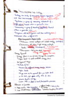 Week 2 Notes - Lab