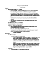 Week 6 notes