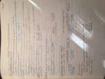 BUAD 301: Week 4 Notes