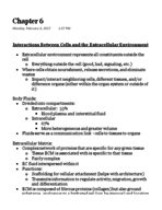 Human Physiology Notes Ch. 6