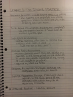 ACC 201 Chapter 3 Notes