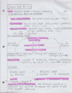 Accy 206/121 ch 1 first pg notes