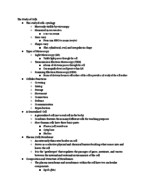 The Study of Cells