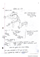 Physiology, Week 5 Notes