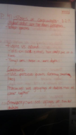 Week 3 Notes