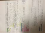 Human Societies Midterm Review Notes