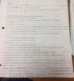 Week 6