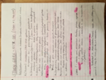 STUDY GUIDE EXAM THREE