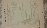 FCHD 2400 week 6 notes