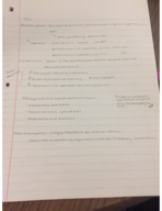 Exam 1 Notes
