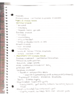 SHS 310 week 3