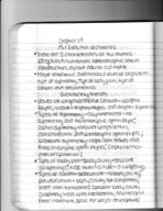 Chapter 19 notes