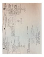 Biology Exam 2 Guide