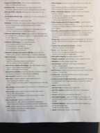 MGT Midterm Study Guide