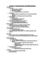 Chapters 4-7