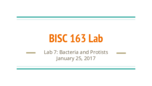 BISC 163 Lab #1