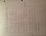 Econ103 Week 3 Class Notes