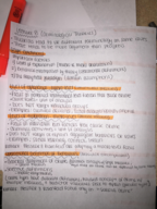 Lecture 8