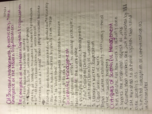 CMST 370 Week 4, class notes
