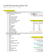 BIOL 189 Lab Lecture #4