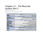 Human Anatomy Chapter 11 - Muscular System Part 3 (Axial Musculature)