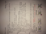Biological Psychology Week Three Notes