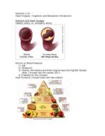 Nutrition Class Notes 2-23