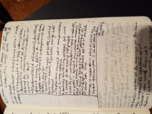 Early Italian Renisansse Book Notes 1