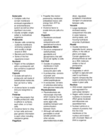 Final Guide