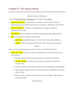 BSC2023 Week 6 Notes The Special Senses