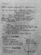 Study Guide: TEST CAPITOLO 6