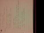 CRIM 2080 notes week 2
