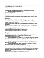 Notes on the Skeletal System
